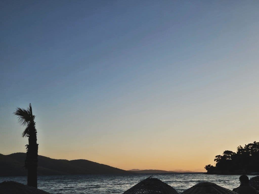 Gün batımında deniz, palmiye ağacı silueti ve dağların arkasından süzülen altın sarısı ışık.